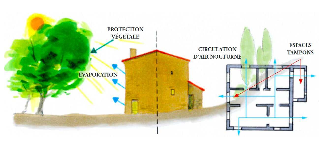 comportement-thermique-ete