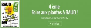 foire-aux-plantes à Baud